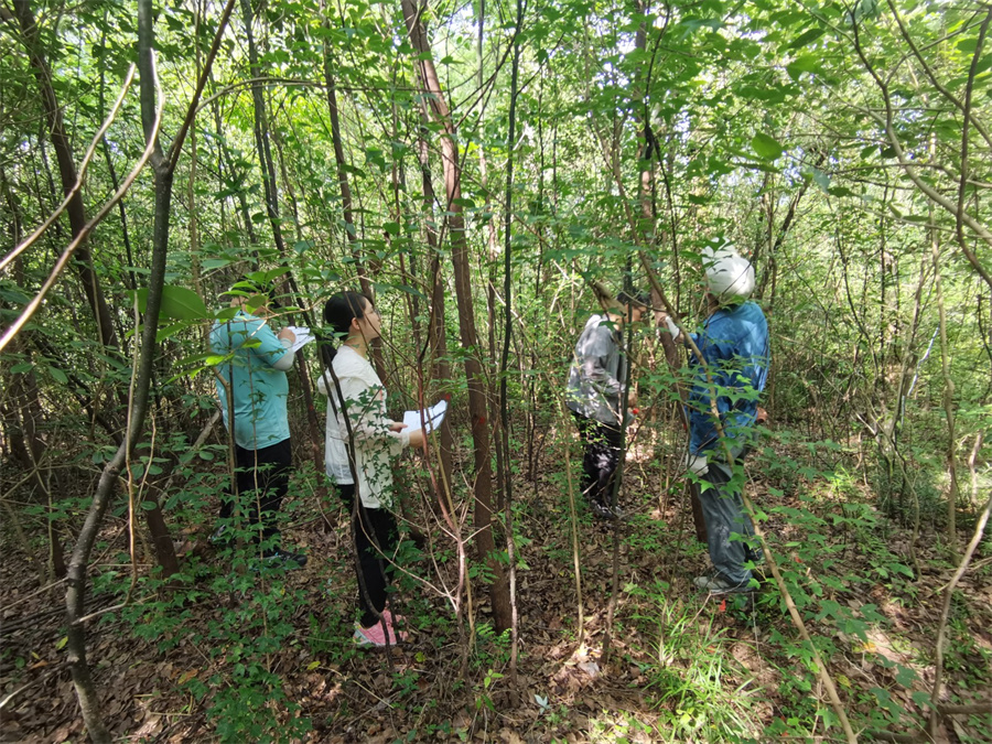 建设项目使用林地可行性研究报告、调查表编制