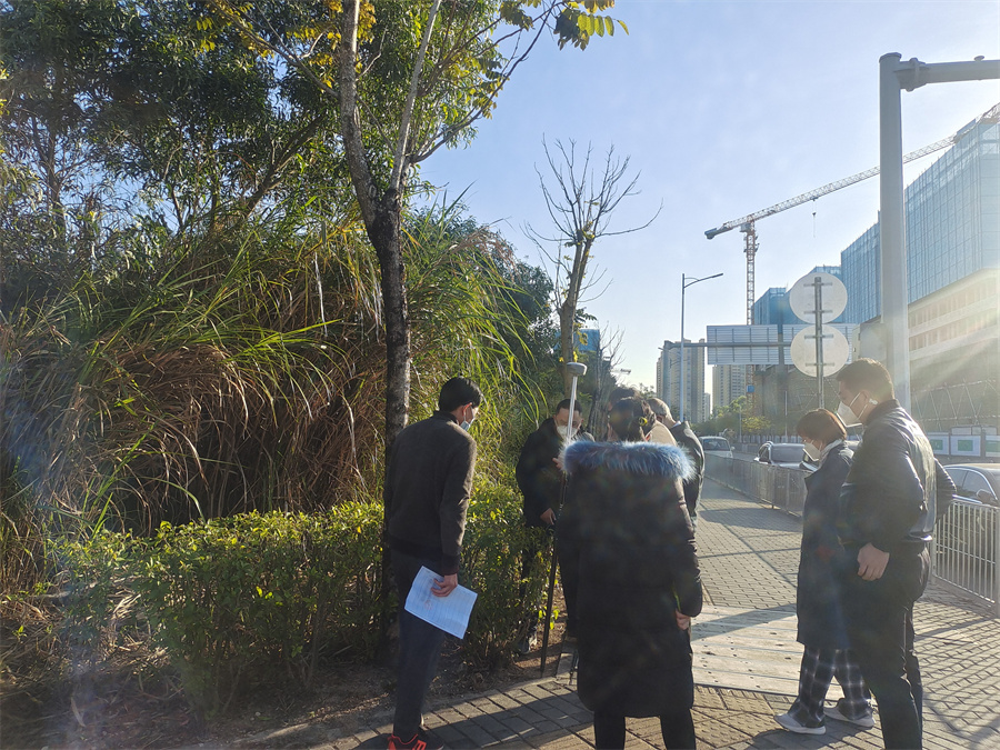 砍伐、迁移城市树木技术服务