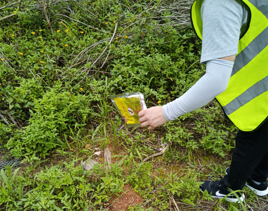 林业有害生物防治及技术咨询服务