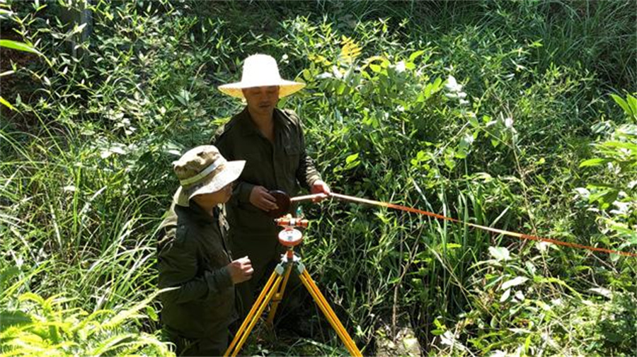 林业工程（造林、抚育、采伐等）规划设计