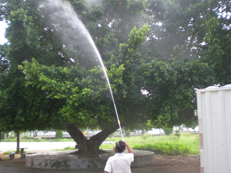 古树名木保护、迁移技术服务